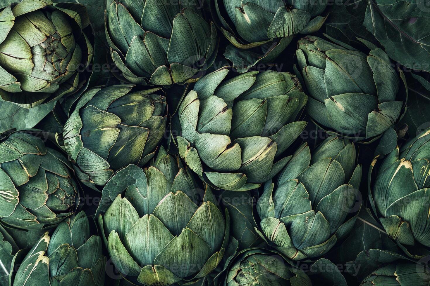 Abstract pattern of overlapping artichoke leaves, creative use of texture and green tones photo