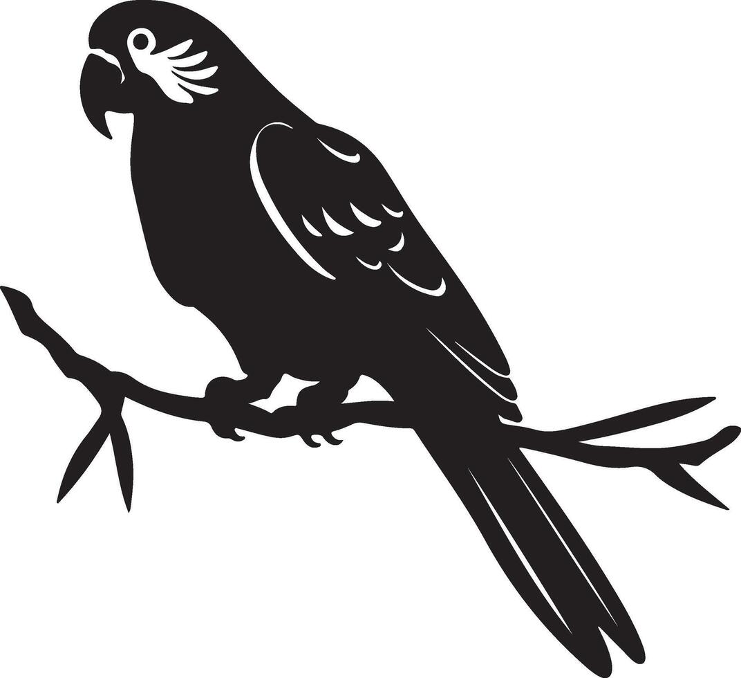 Parrot Silhouette Illustration White Background vector