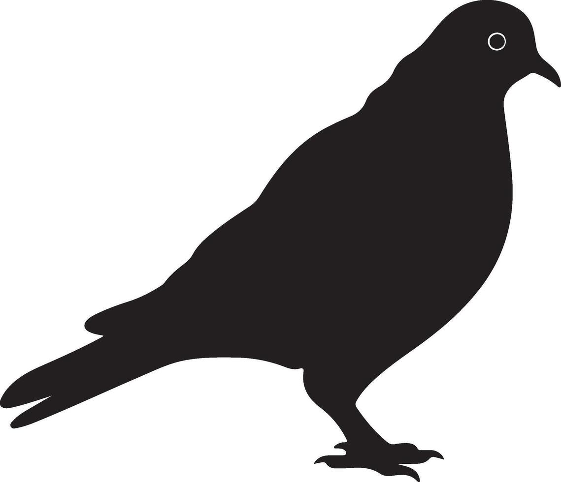 Pigeon Silhouette Illustration White Background vector