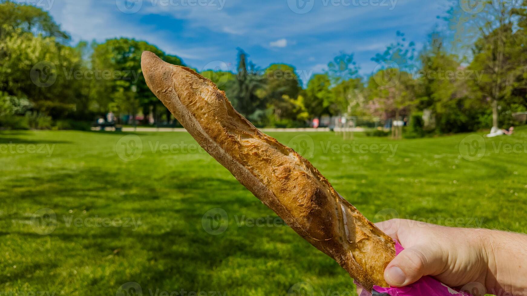 Fresh baguette held against a sunny park backdrop, evoking concepts of picnics, French cuisine, and leisurely summer afternoons photo