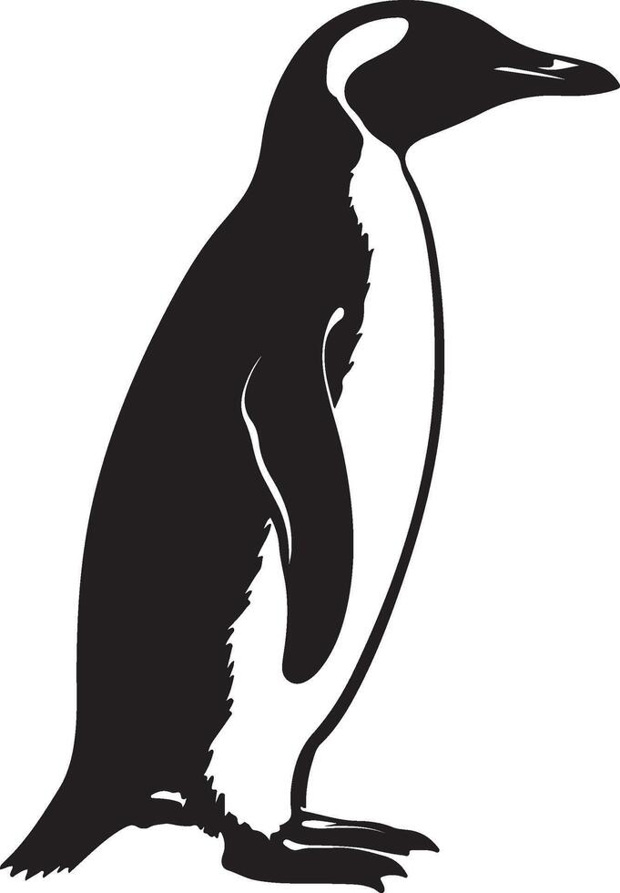 Penguin Silhouette Illustration White Background vector