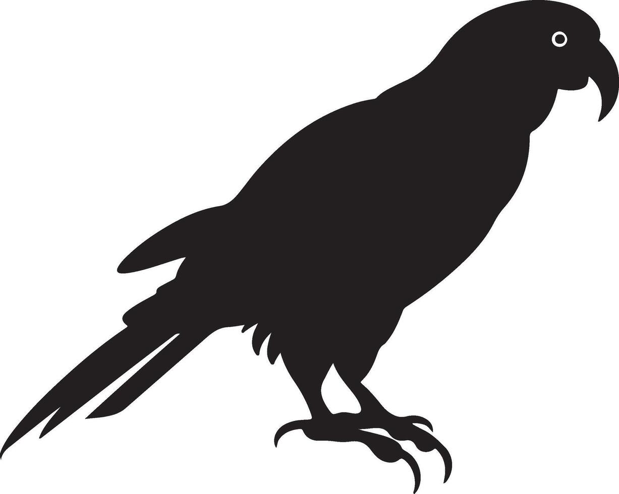 Parrot Silhouette Illustration White Background vector