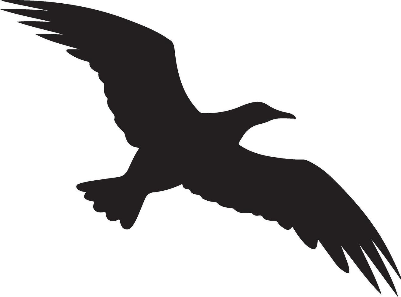 Albatross Silhouette Illustration White Background vector