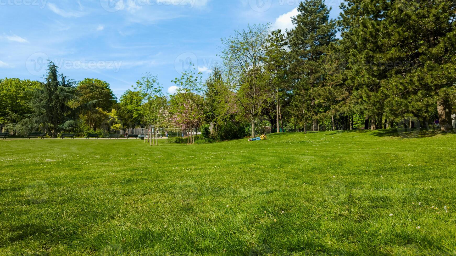 Tranquil city park with lush green grass and diverse trees on a clear, sunny day, ideal for Earth Day themes and outdoor leisure concepts photo