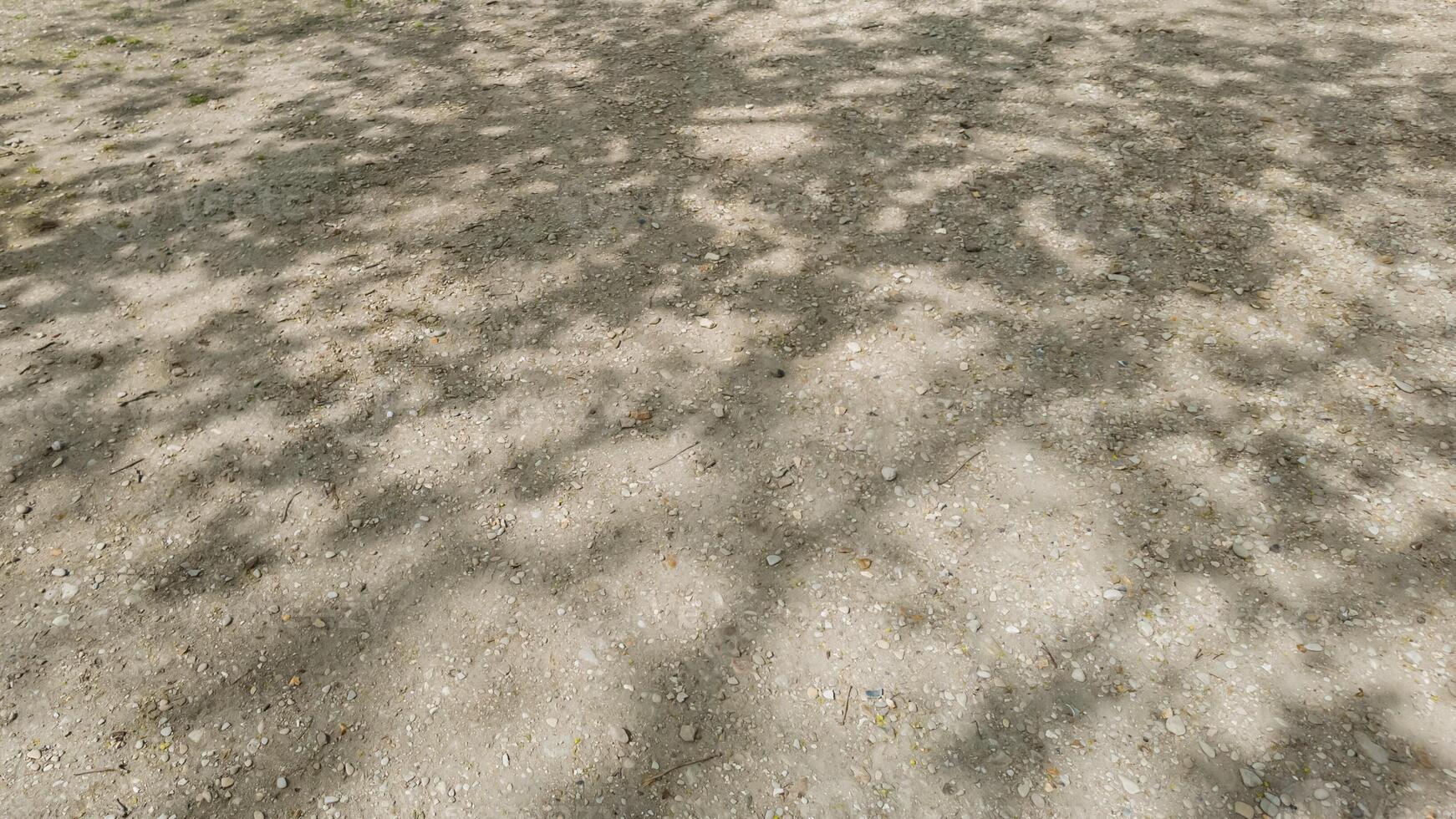 Abstract nature background of dappled sunlight casting intricate shadows on a dirt ground, evoking Earth Day and environmental conservation themes photo