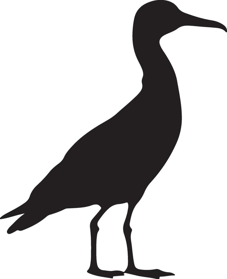 Albatross Silhouette Illustration White Background vector