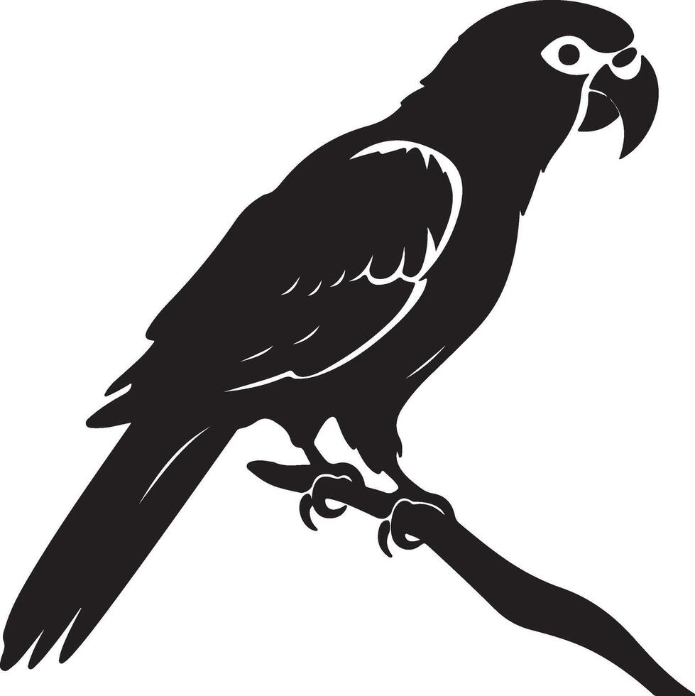 Parrot Silhouette Illustration White Background vector