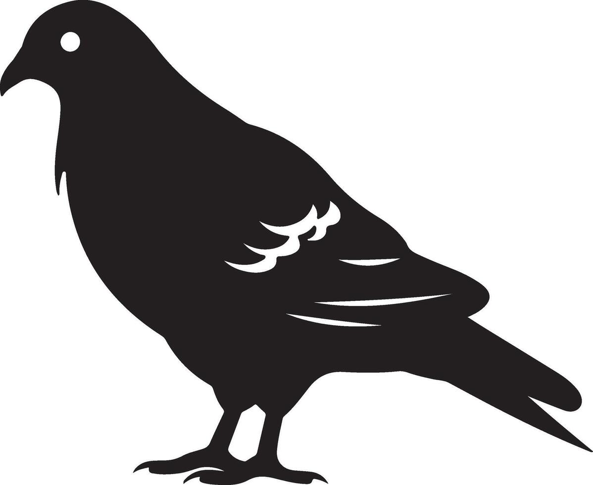 Pigeon Silhouette Illustration White Background vector