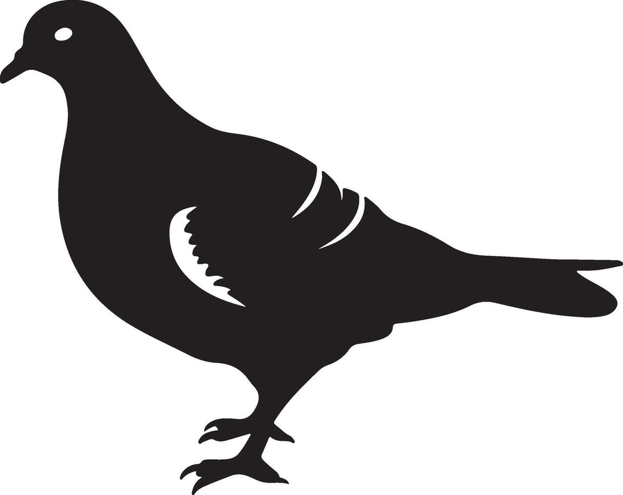 Pigeon Silhouette Illustration White Background vector