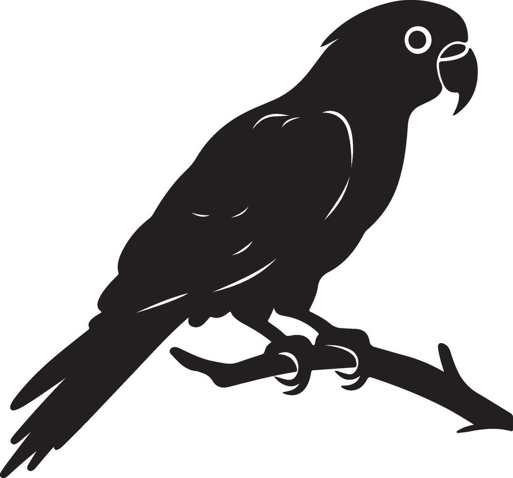 Parrot Silhouette Illustration White Background vector