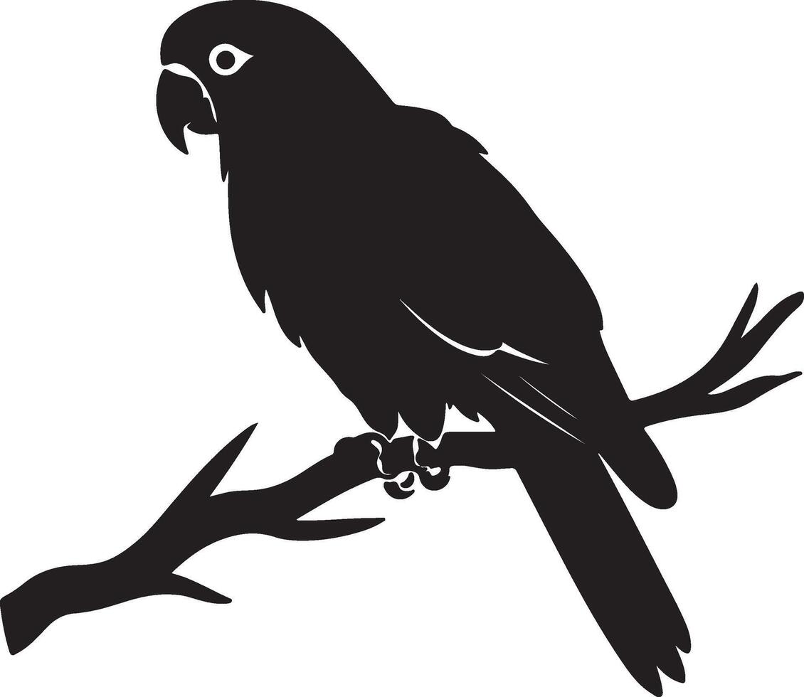 Parrot Silhouette Illustration White Background vector