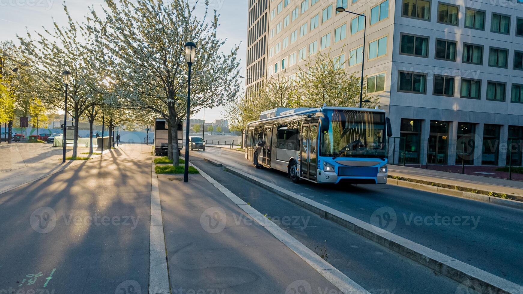 temprano Mañana luz de sol yesos oscuridad en un urbano calle forrado con cierne árboles, con un ciudad autobús en movimiento, ideal para público transporte y ciudad vida temas foto