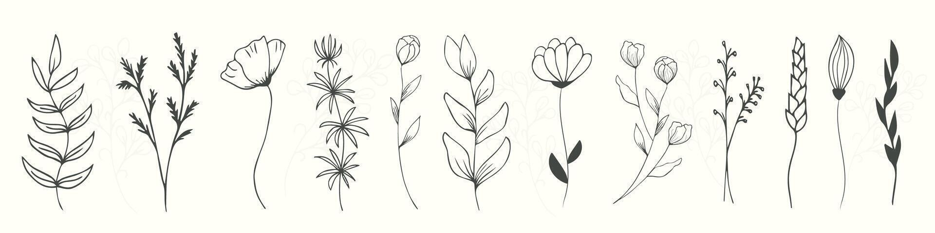 Set of field, forest flowers and leaves, herbal elements of hand drawn wild herbs. For stylized background decor, postcards, print, for editing, for modern original design addition. vector
