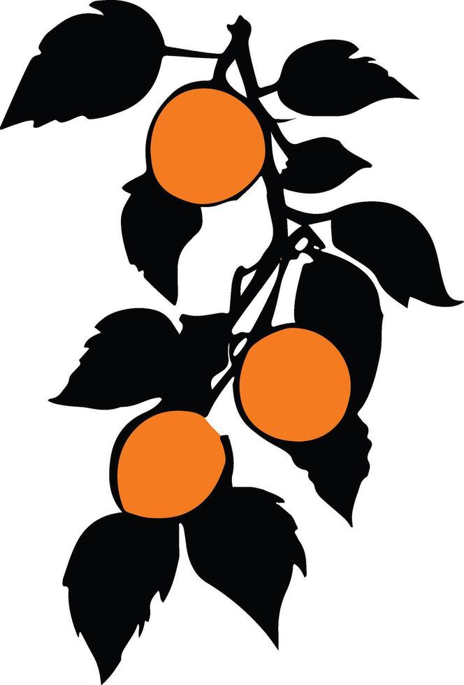 apricot sign, apricot illustration vector