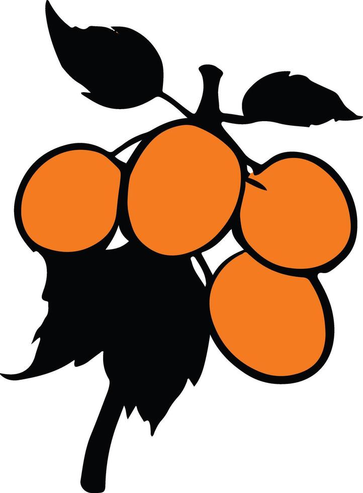 apricot sign, apricot illustration vector