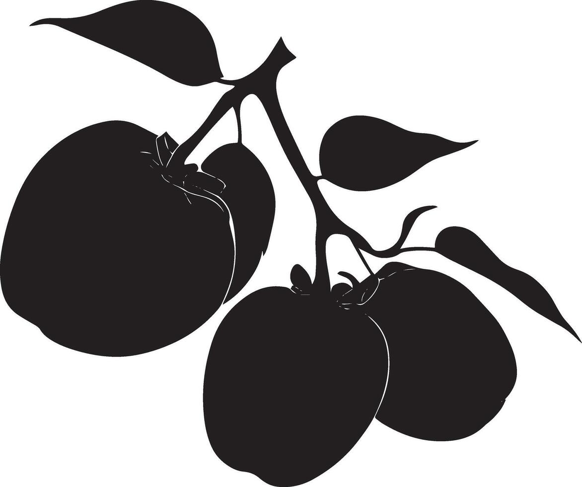 persimmon image silhouette, persimmon illustration, persimmon sign vector