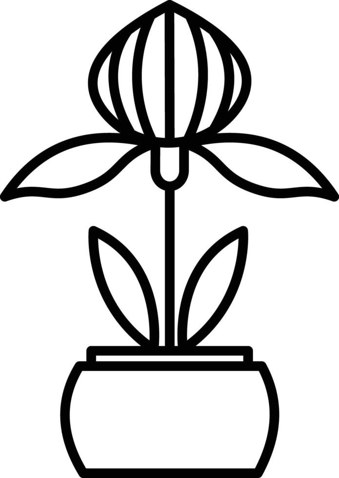 Orchid plant outline illustration vector