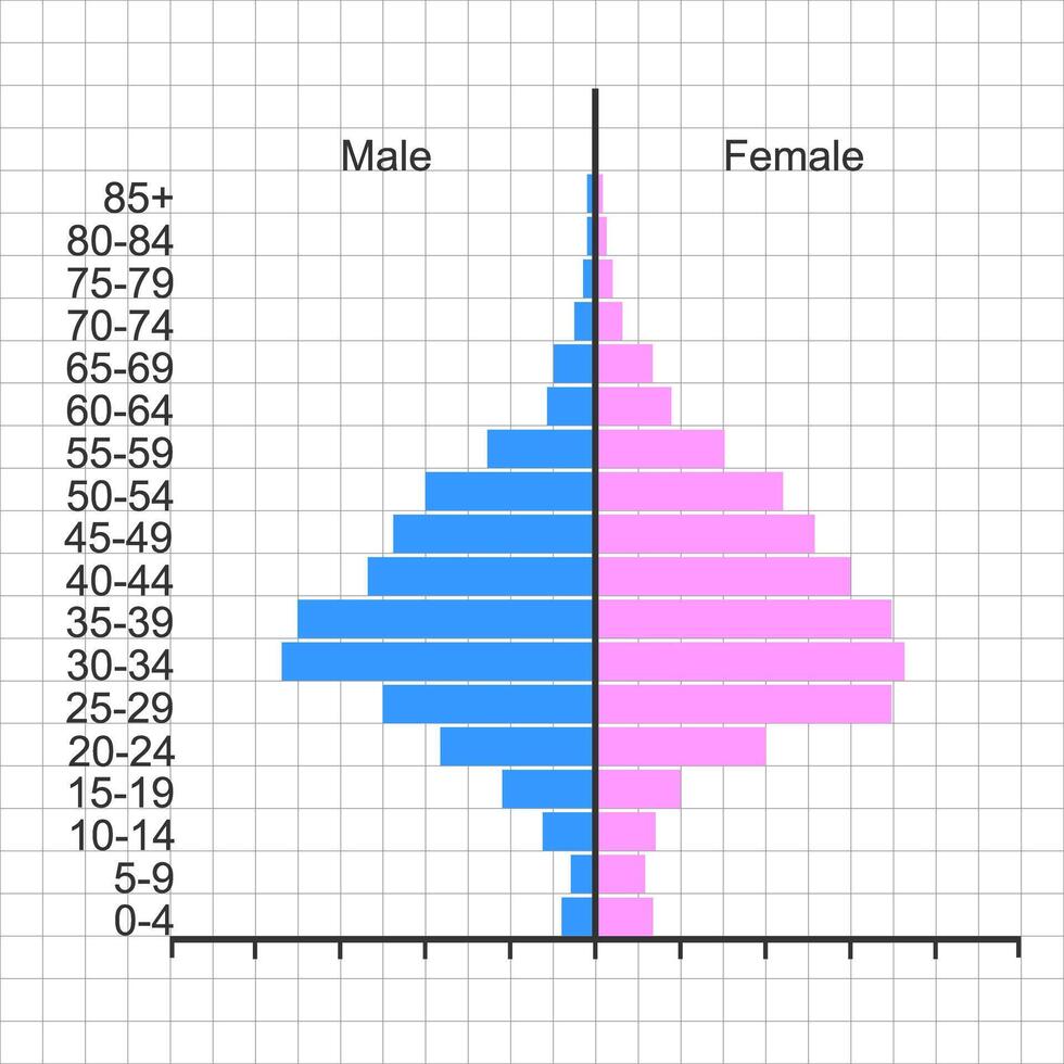 Population pyramid template. Sample of age structure diagram isolated on white background. Population distribution by male and female groups with different age. vector