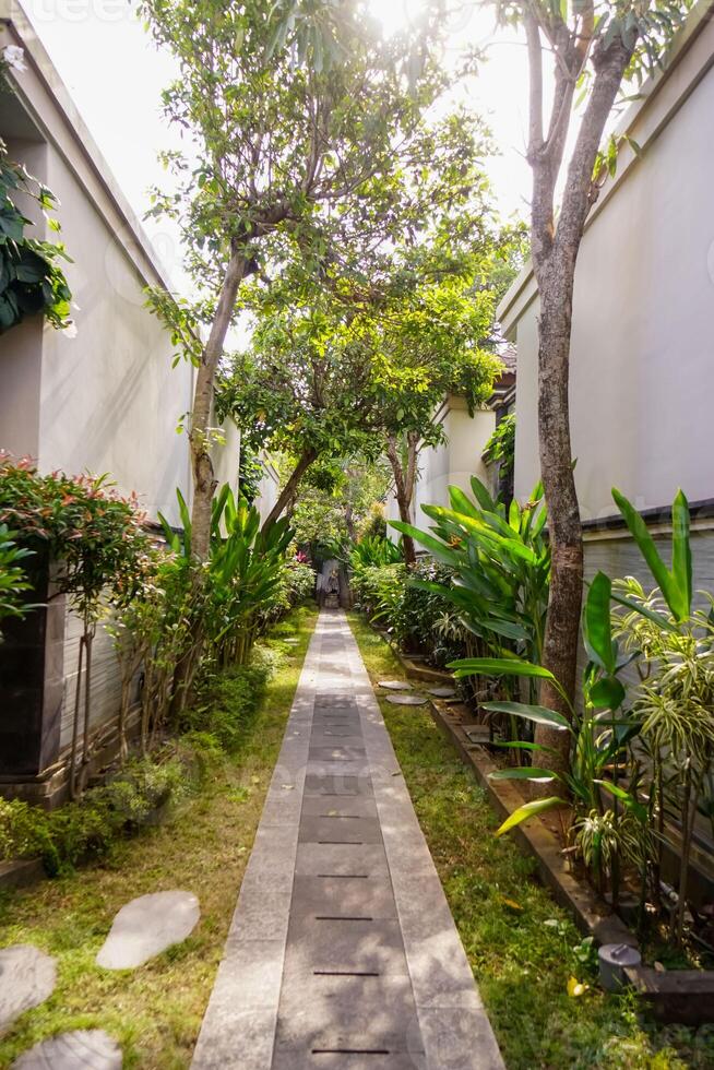 Beautiful green tropical garden outdoor veranda with ecological plants surrounded nature in Asia photo