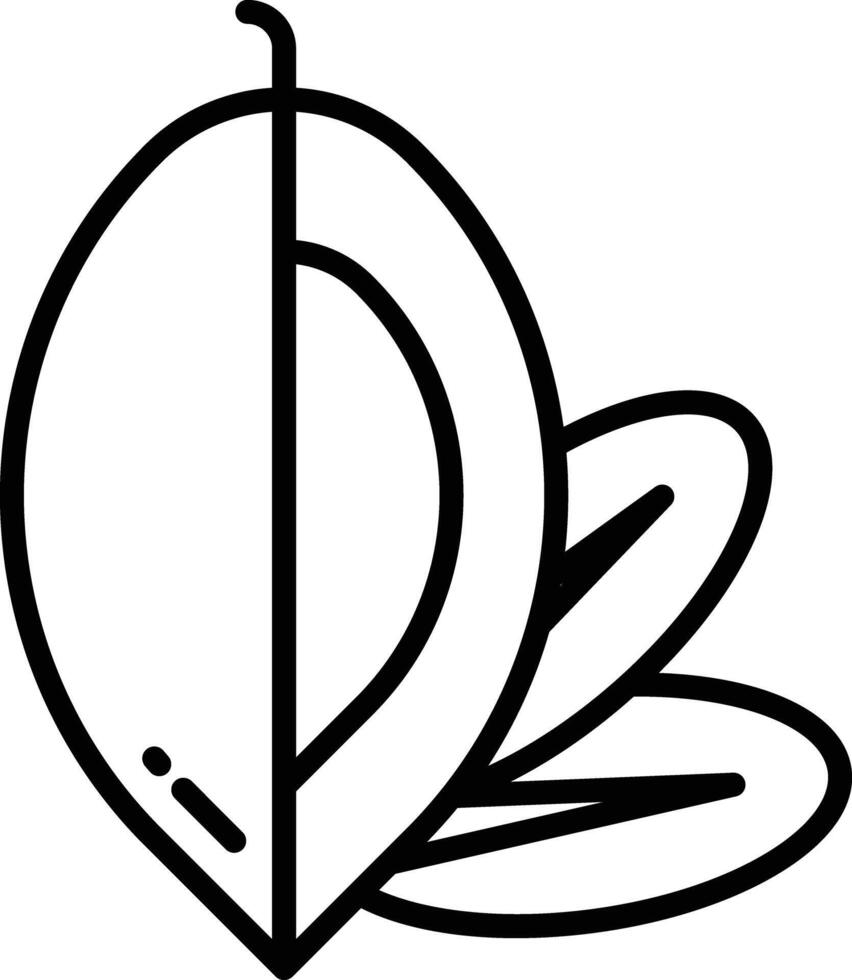 Argan slice outline illustration vector