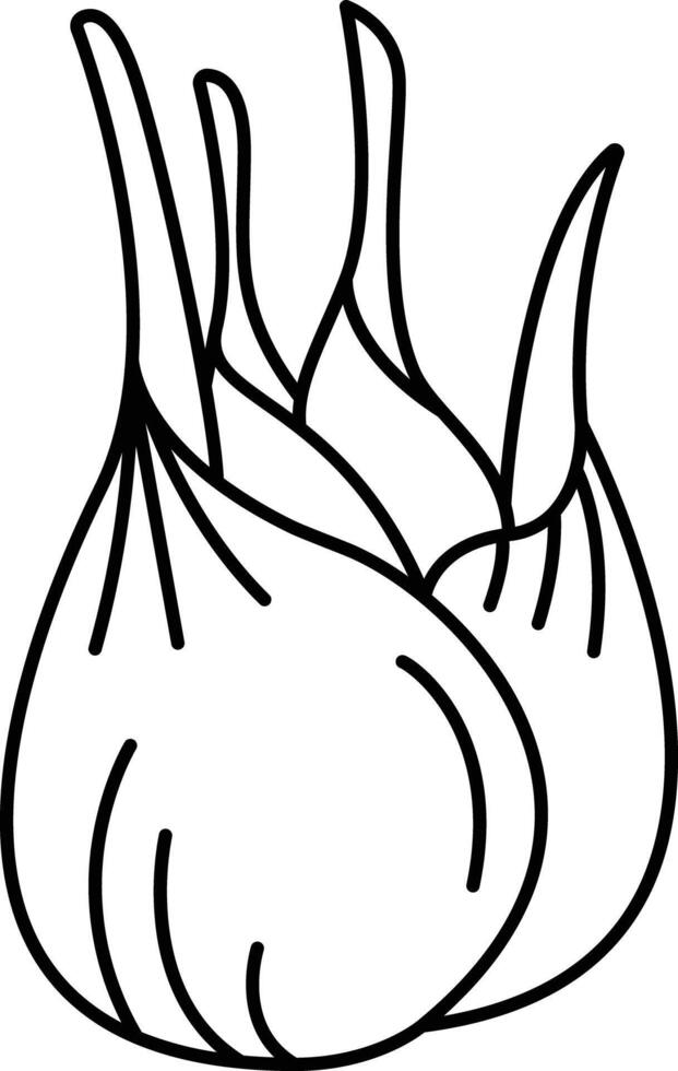 Fennel outline illustration vector