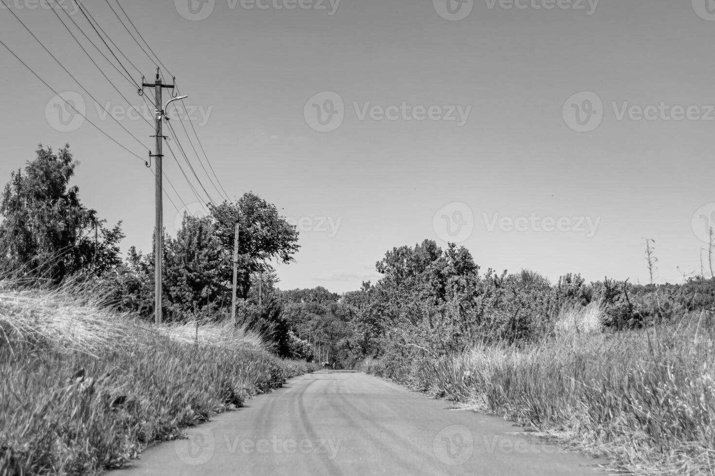 hermosa vacío asfalto la carretera en campo en ligero antecedentes foto