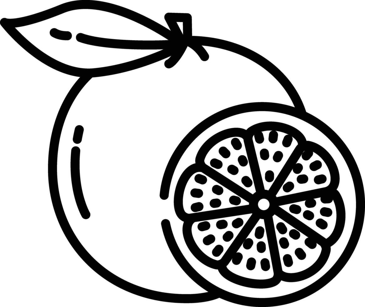 Grapefruit cut outline illustration vector