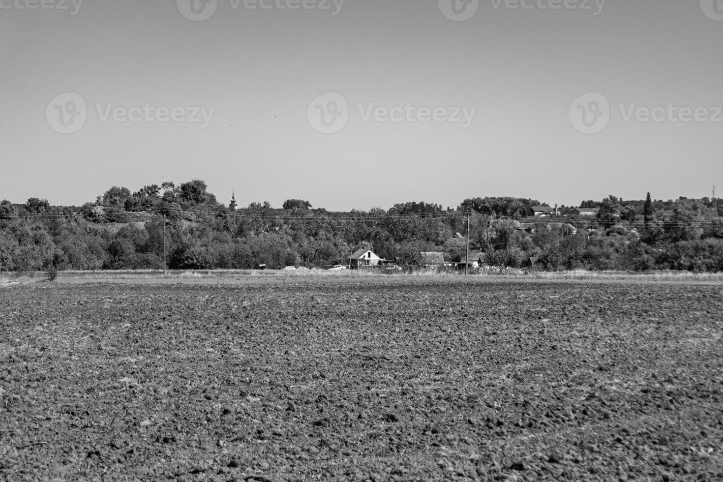 fotografía sobre el tema gran campo agrícola vacío para la cosecha orgánica foto