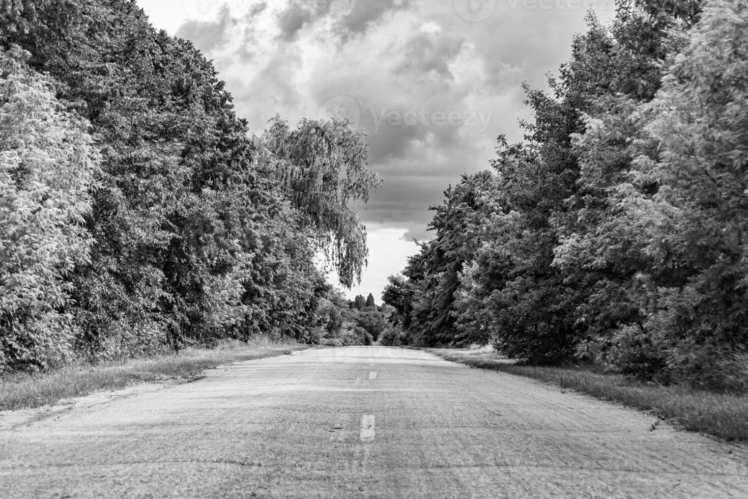 hermosa vacío asfalto la carretera en campo en ligero antecedentes foto