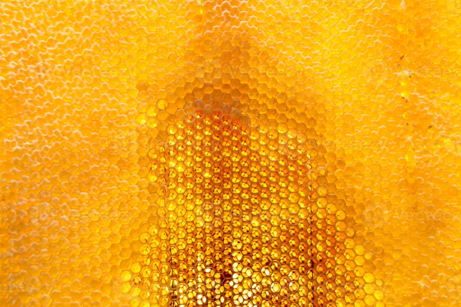 Drop of bee honey drip from hexagonal honeycombs filled with golden nectar photo