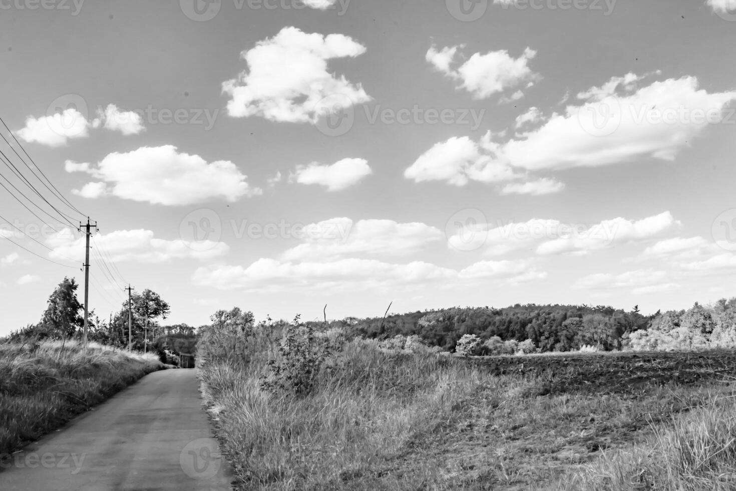 Beautiful empty asphalt road in countryside on light background photo