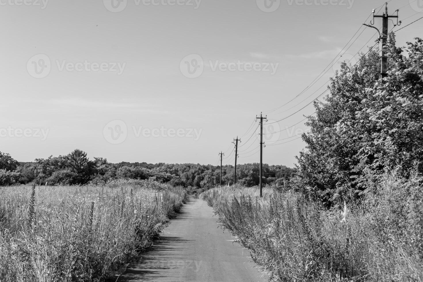 Beautiful empty asphalt road in countryside on light background photo