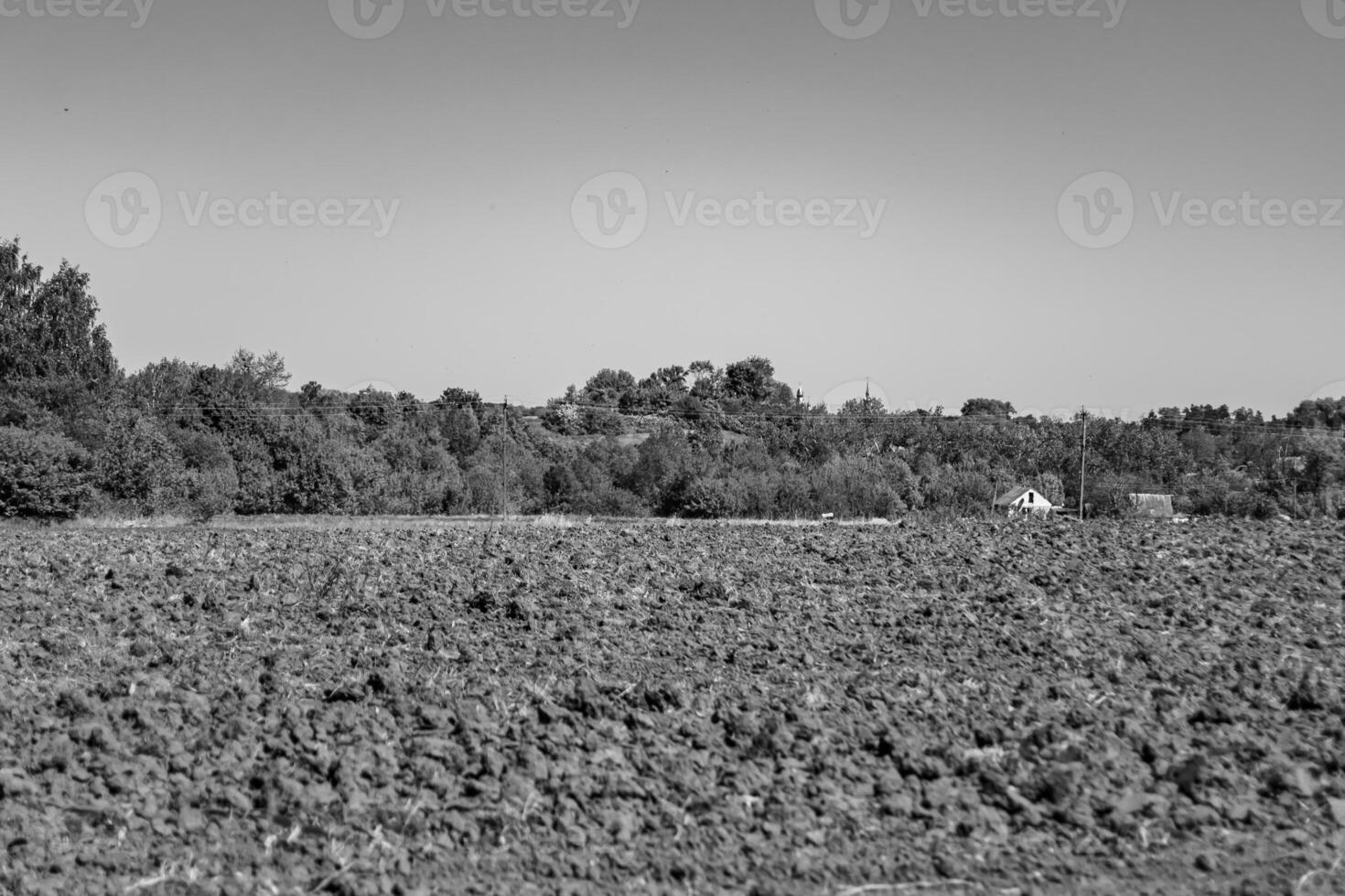 fotografía sobre el tema gran campo agrícola vacío para la cosecha orgánica foto