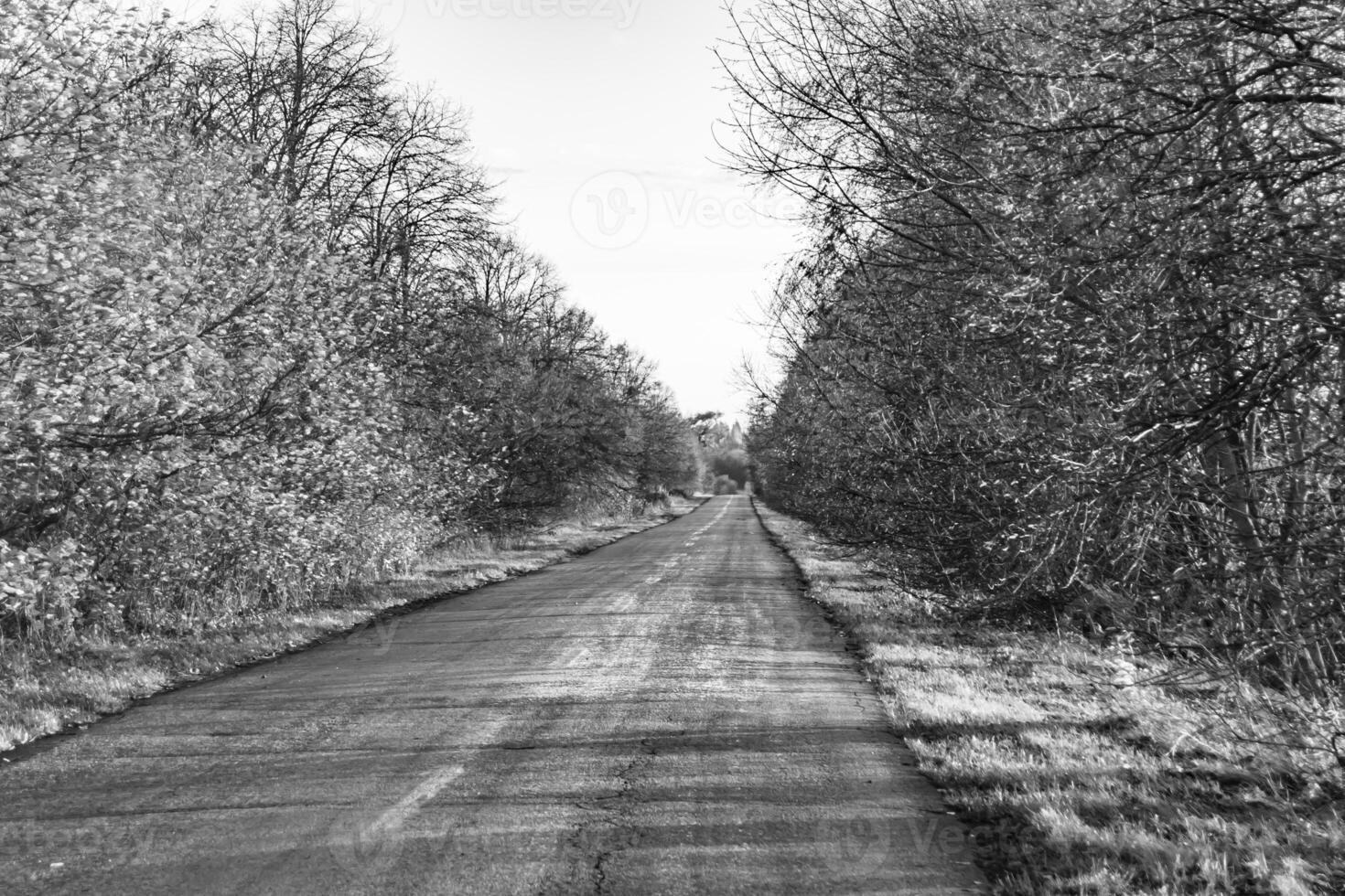 Hermosa carretera de asfalto vacía en el campo sobre fondo de color foto