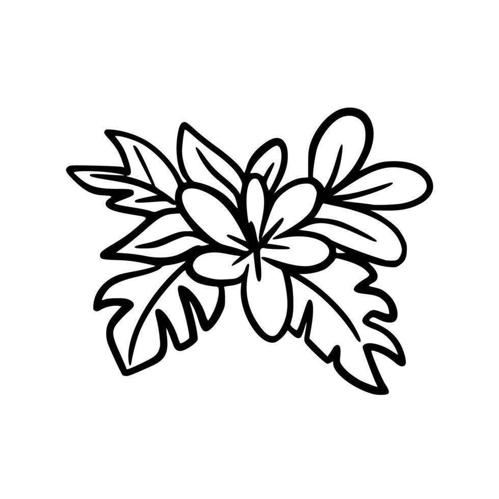 Flower. Doodle icon on white background. vector