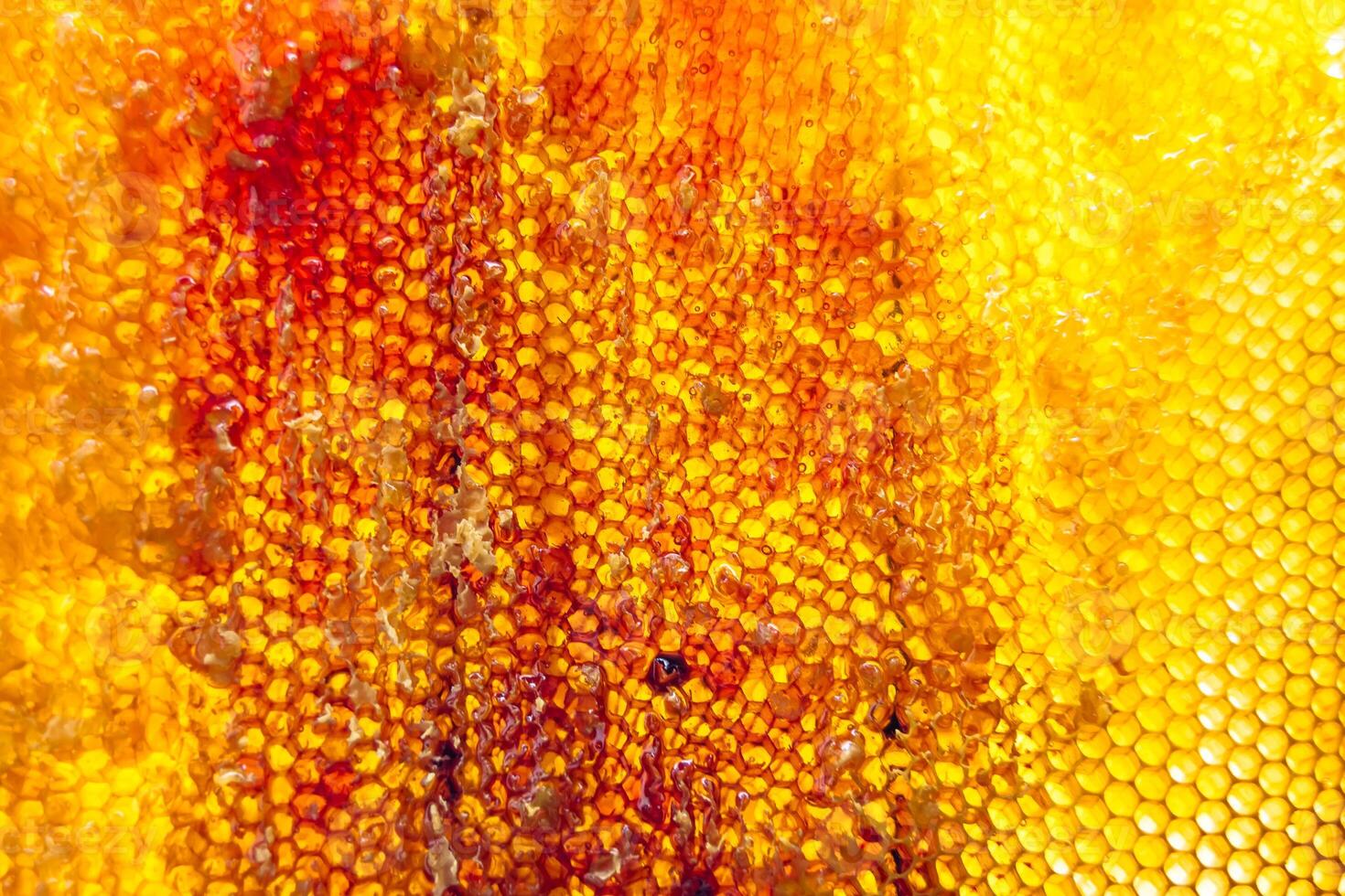 Drop of bee honey drip from hexagonal honeycombs filled with golden nectar photo