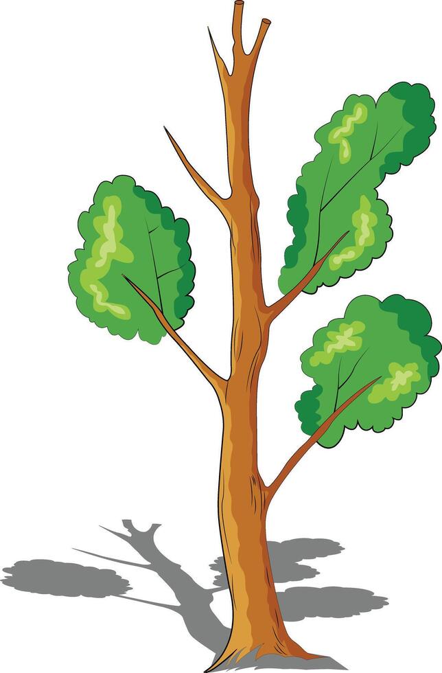 árbol aislado en blanco vector