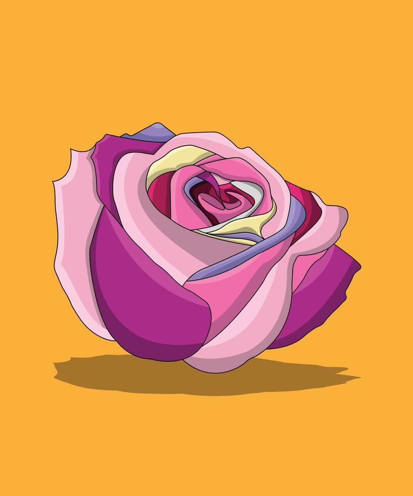 pink rose on orange vector