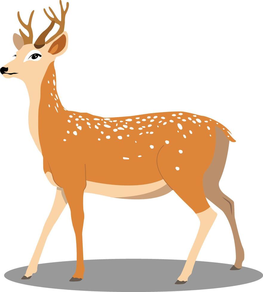 deer cartoon isolated on white vector