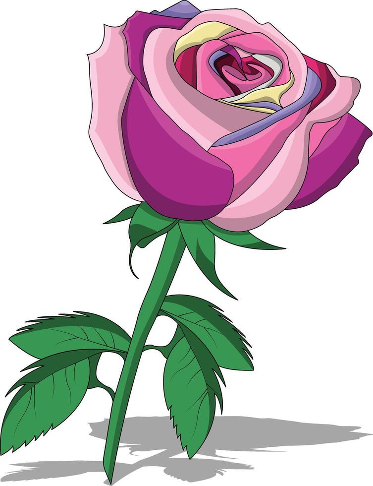 pink rose isolated on white vector
