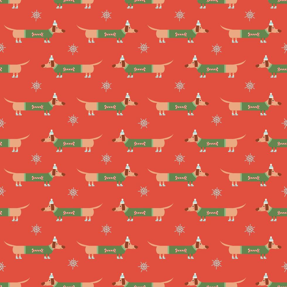 Christmas seamless pattern with cute and funny long dachshund wearing christmas sweater, hat and shoes and snowflakes vector