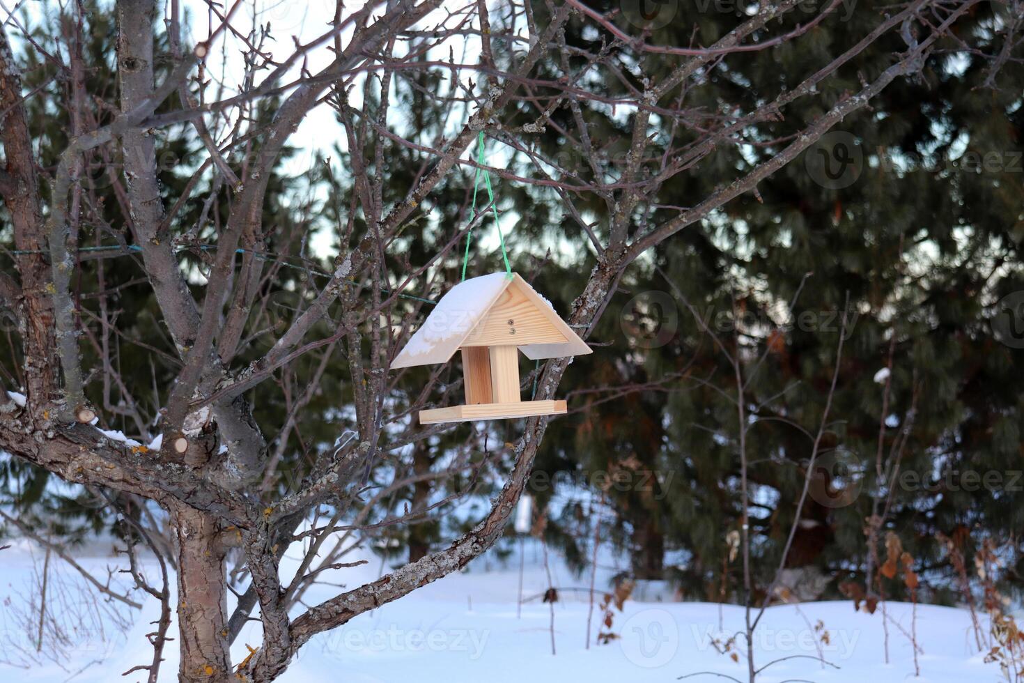 A wooden bird feeder hangs on a branch photo