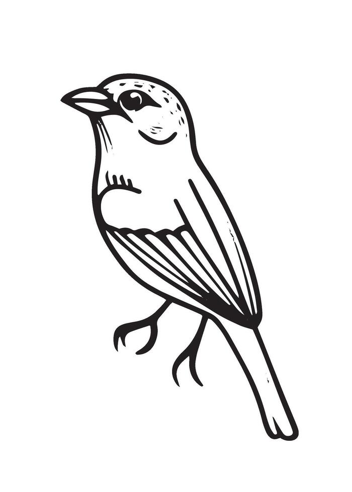 Monochrome Bird Isolated Illustration vector