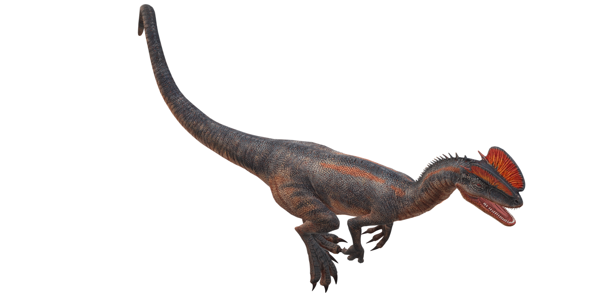Dilophosaurus on a Transparent Background png