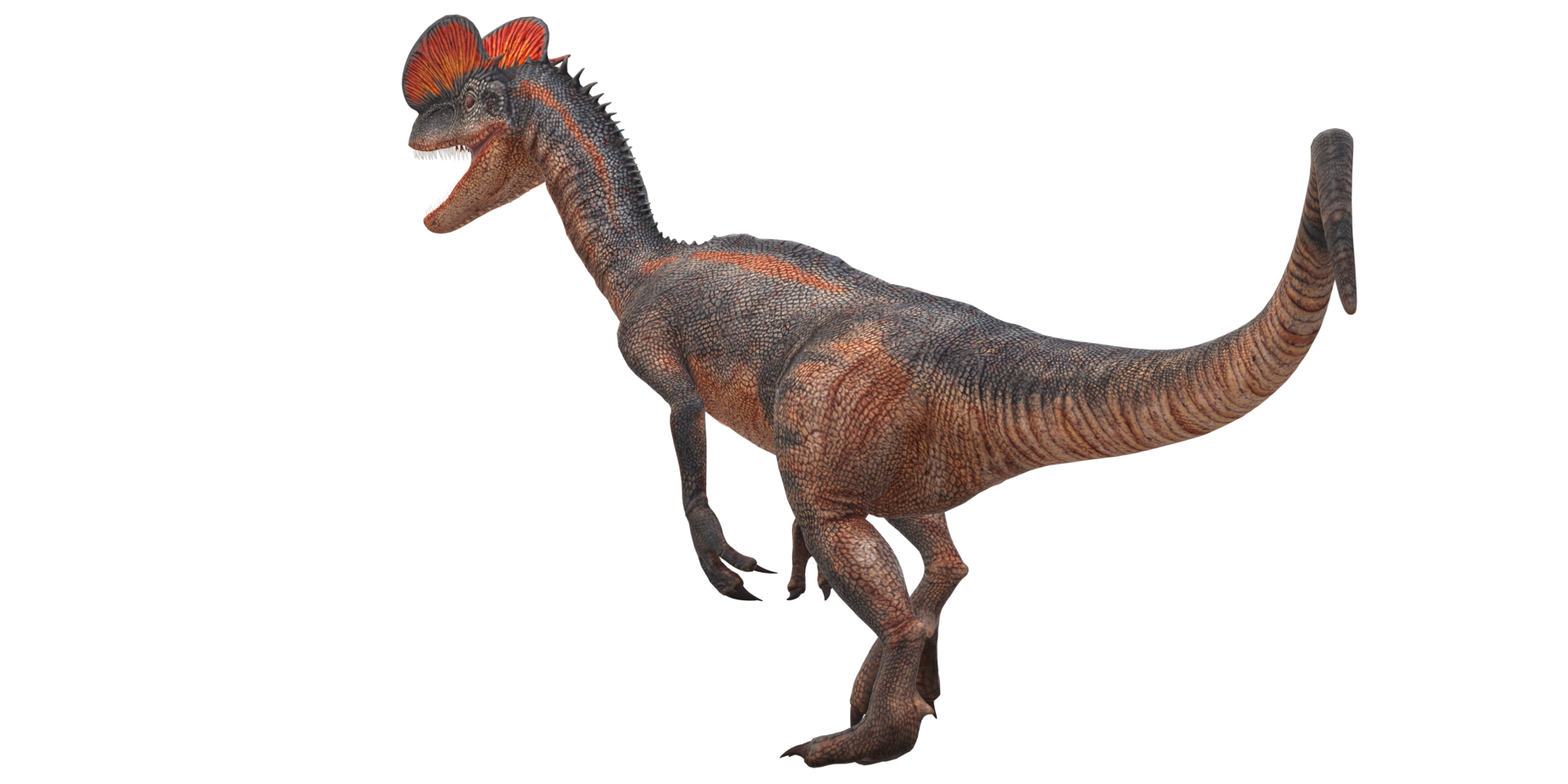 Dilophosaurus on a Transparent Background png