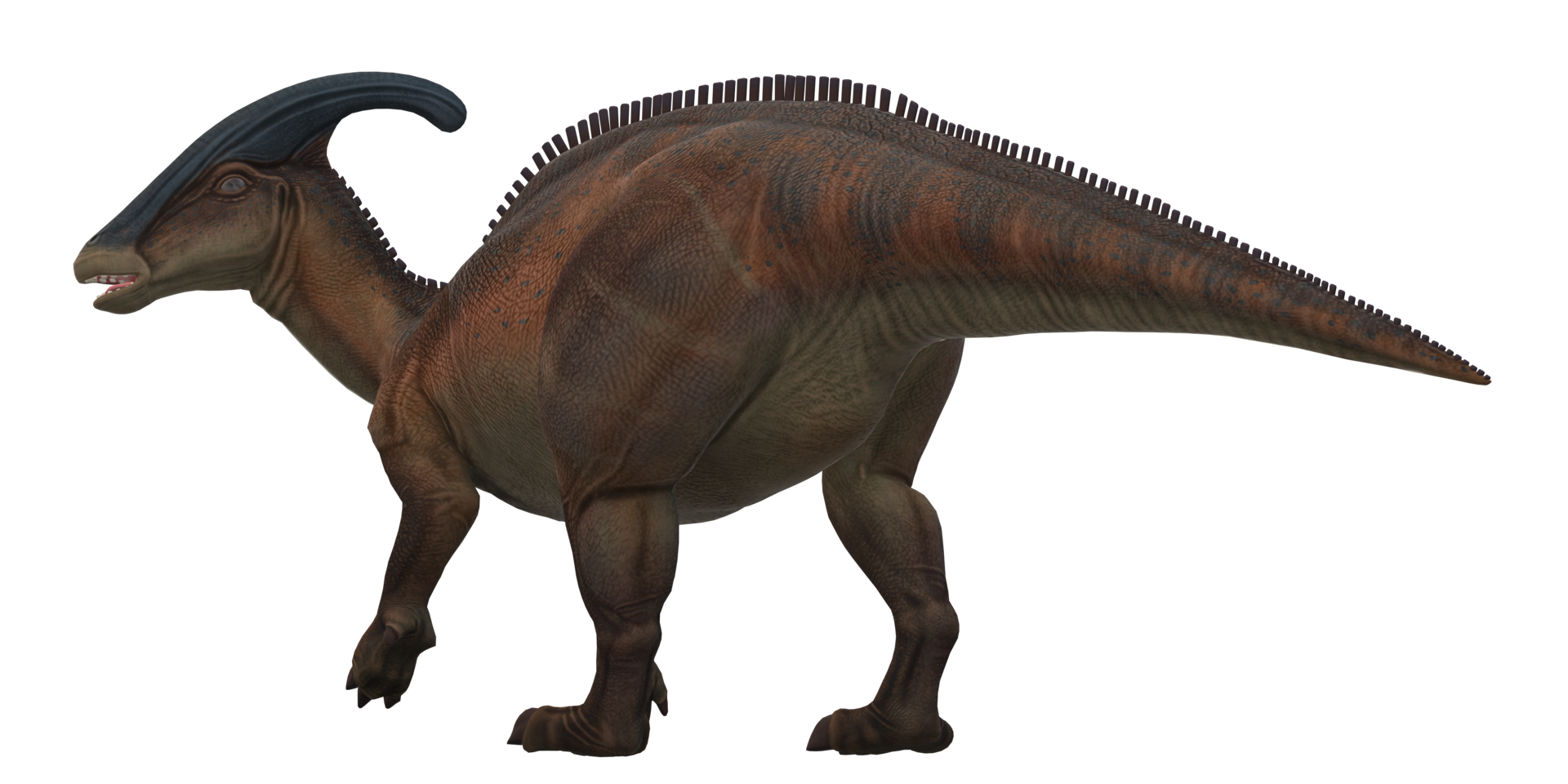 Parasaurolophus on a Transparent Background png