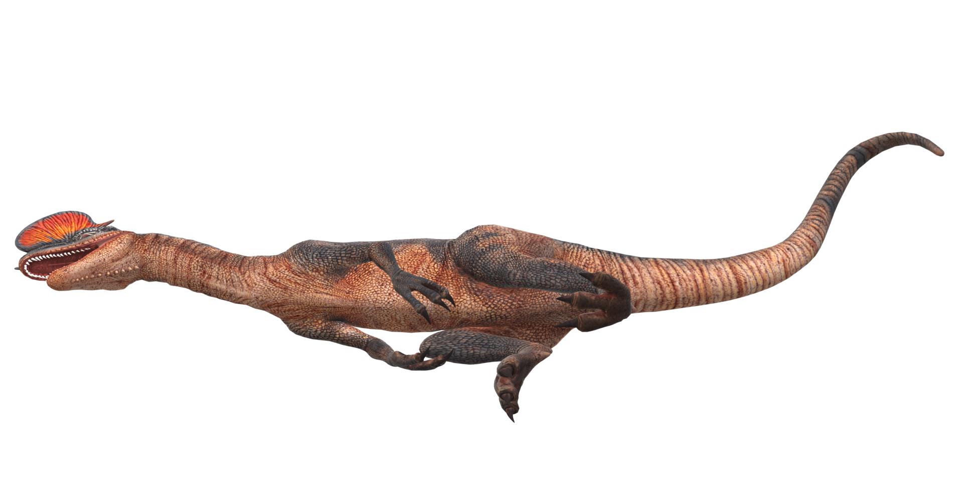 Dilophosaurus on a Transparent Background png