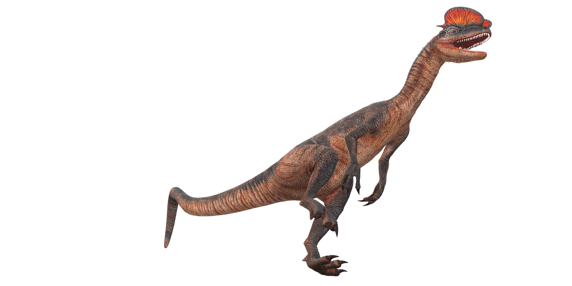 Dilophosaurus on a Transparent Background png