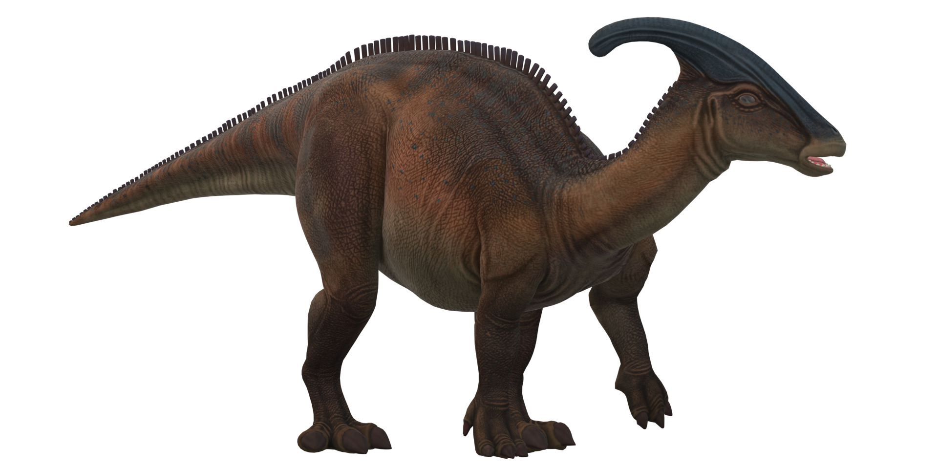 Parasaurolophus on a Transparent Background png