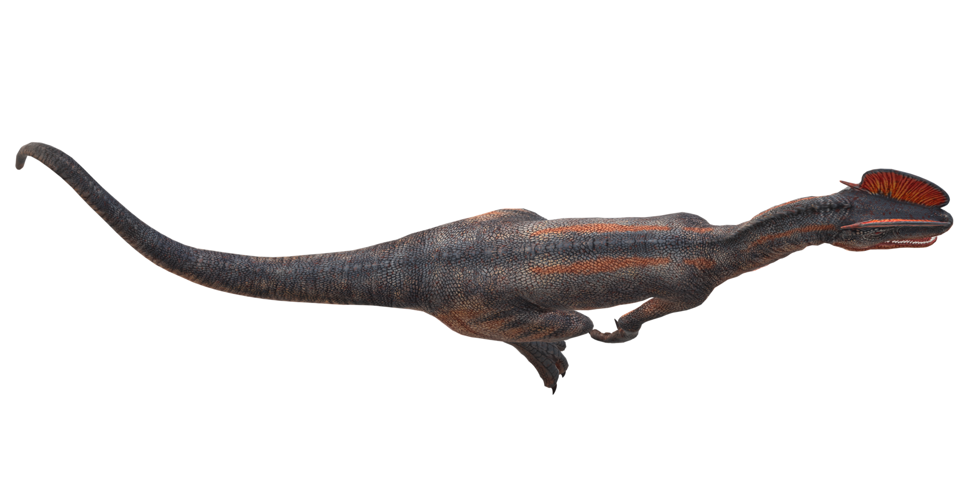 Dilophosaurus on a Transparent Background png